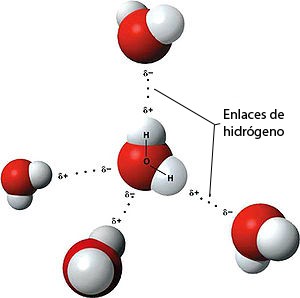 Alternativas al agua embotellada